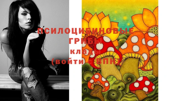 герыч Козельск