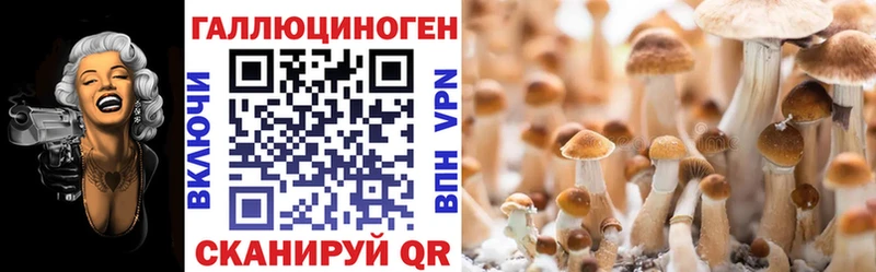 Галлюциногенные грибы мухоморы  Купить где  Фролово 